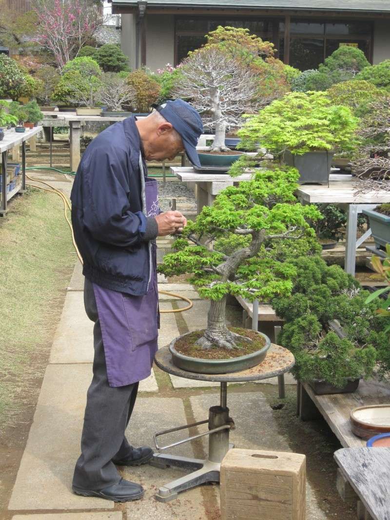 Bonsai Trip To Japan, April 2012 Img_0027