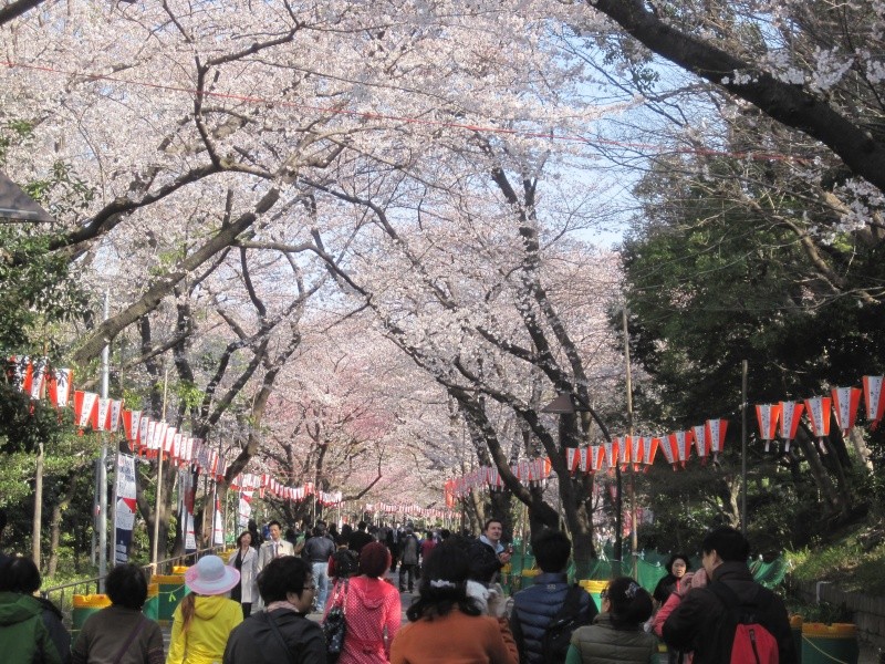 Bonsai Trip To Japan, April 2012 Img_0112