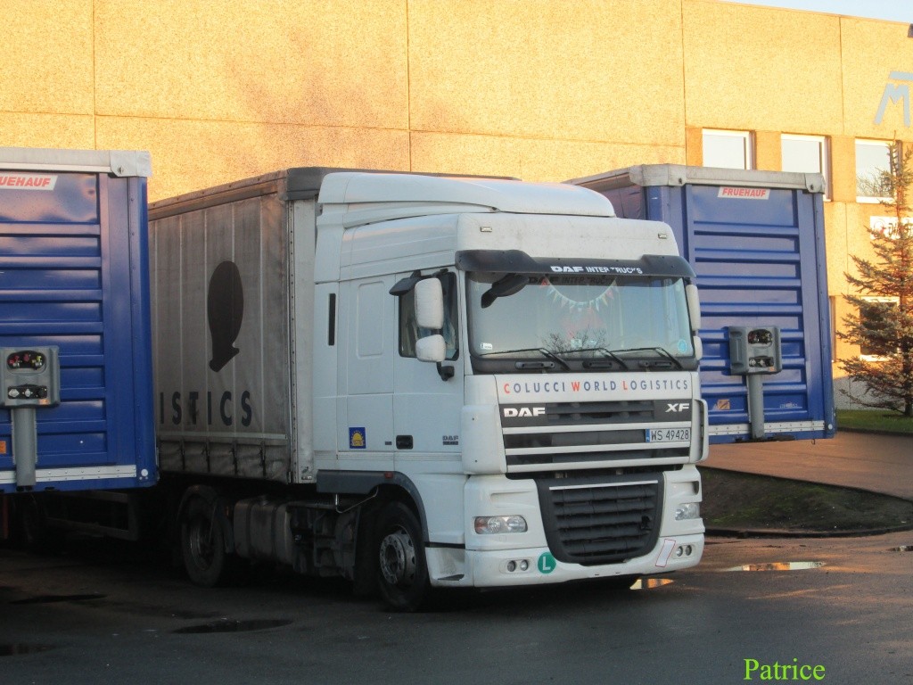 Colucci World Logistics (Groupement Astre)(Ozzano dell'Emilia) 001_co17