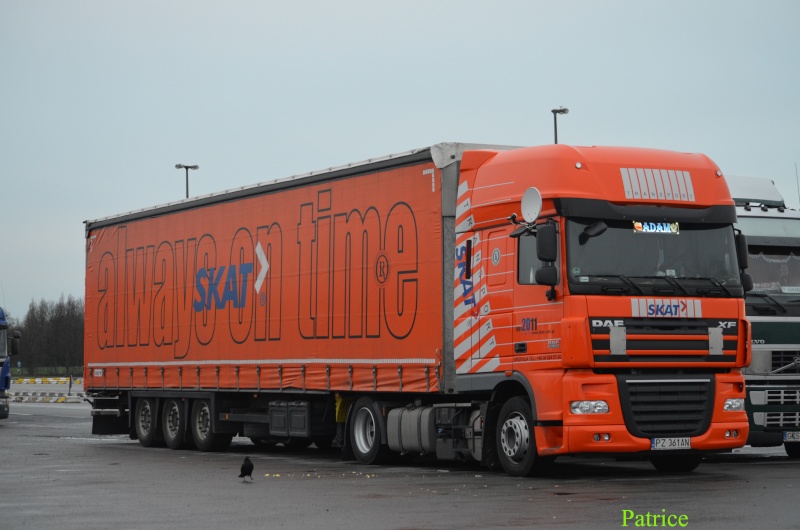 Skat Transport sp. z o.o. - Gdańsk 016_co26