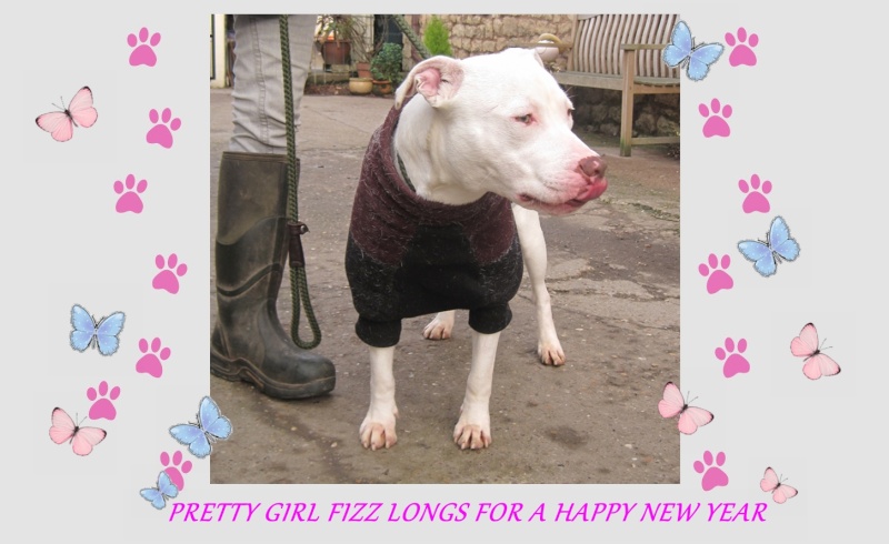 PRETTY GIRL FIZZ LONGS FOR A HAPPY NEW YEAR  Pretty10