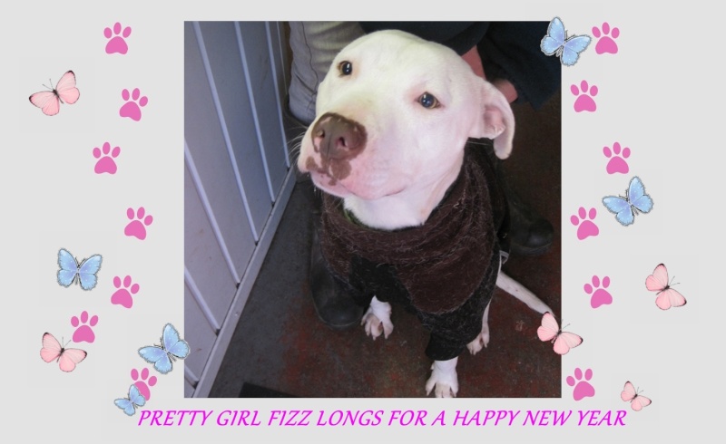 PRETTY GIRL FIZZ LONGS FOR A HAPPY NEW YEAR  Pretty12