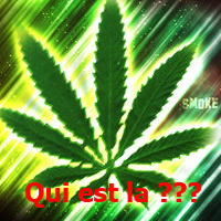 Qui est en ligne ?