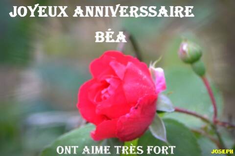 Anniversaire De Bea Anniversaire De Bea