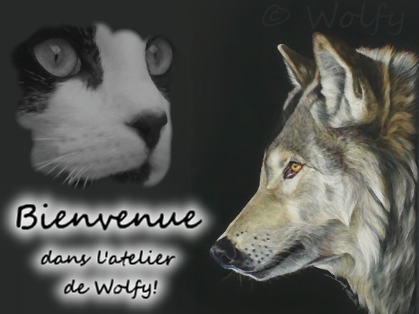 L'Atelier de l'Ombre_Wolfy ♪ [open: 0/2] Atelie10