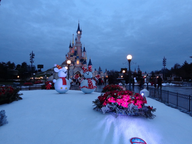 Noël Merveilleux au Disneyland Hotel du 23 au 26 décembre  - Page 2 Dsc00542