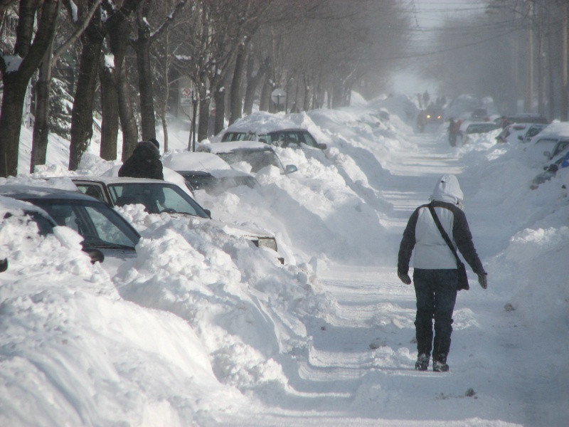 Tempête de neige record sur Montréal : 45 cm ! Neige_11
