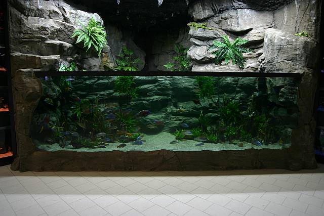 Aquaterrarium Decor_10
