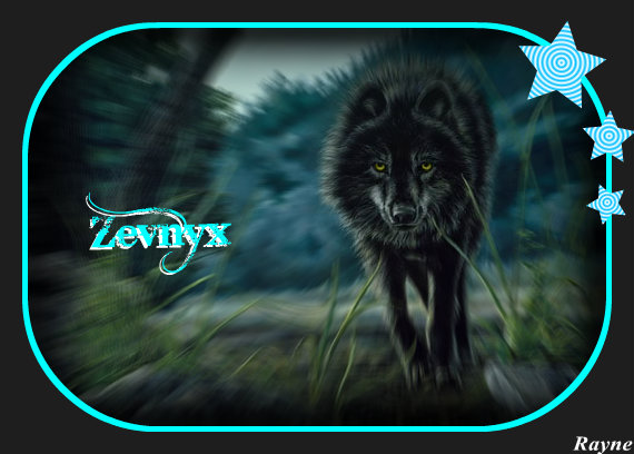 Zevnyx's Avvie Black_10