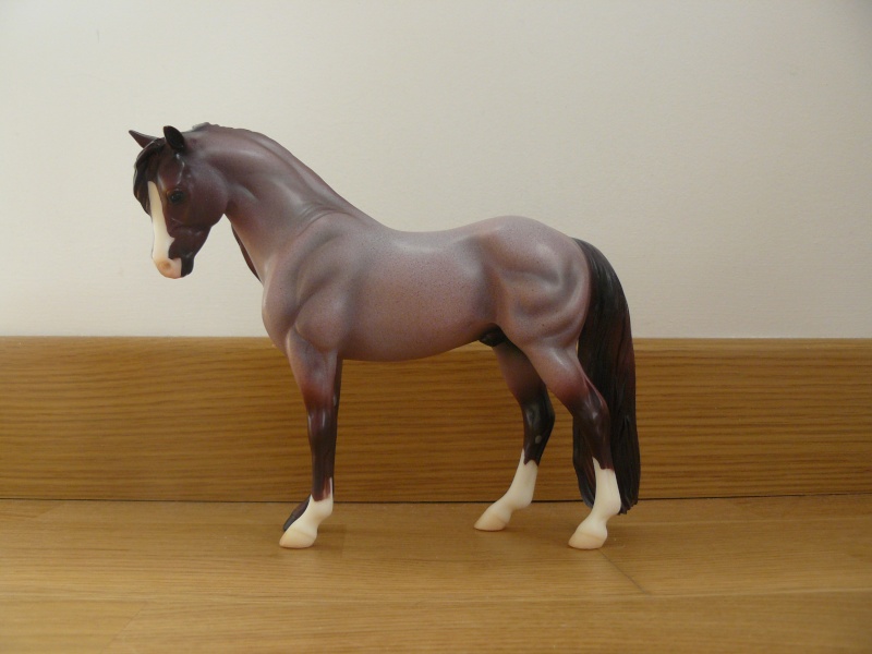La collection de xWonderful-Horse P1030410