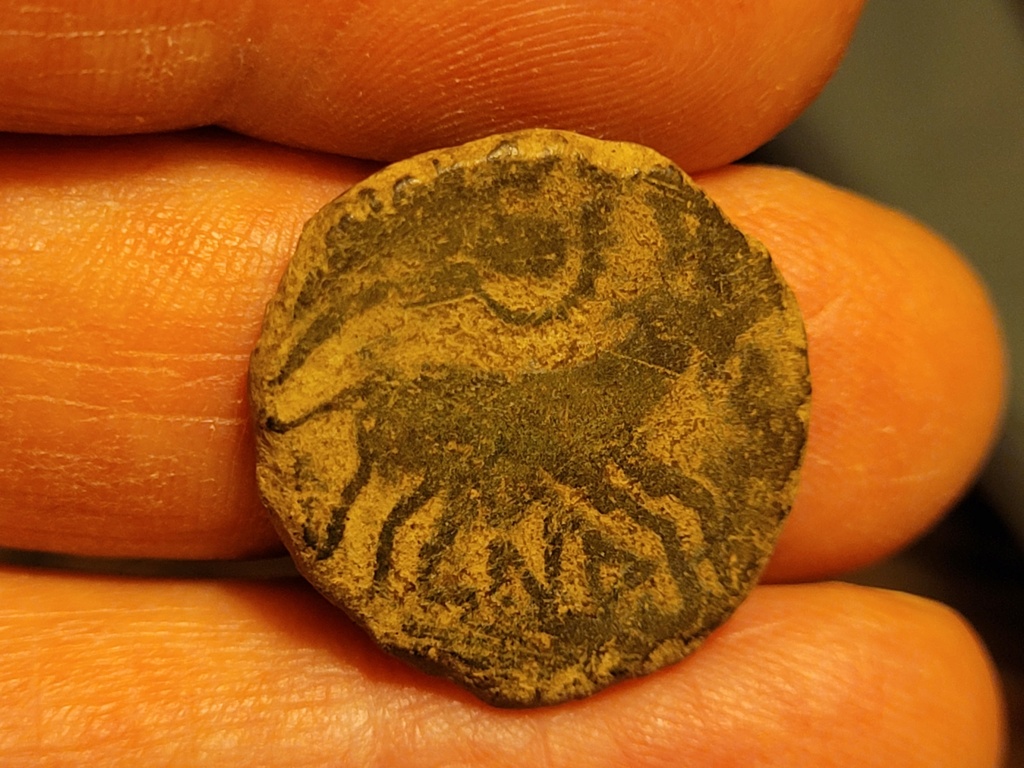 Bronze au taureau Neronken - Nédènes (oppidum de Montlaurès) 20211110