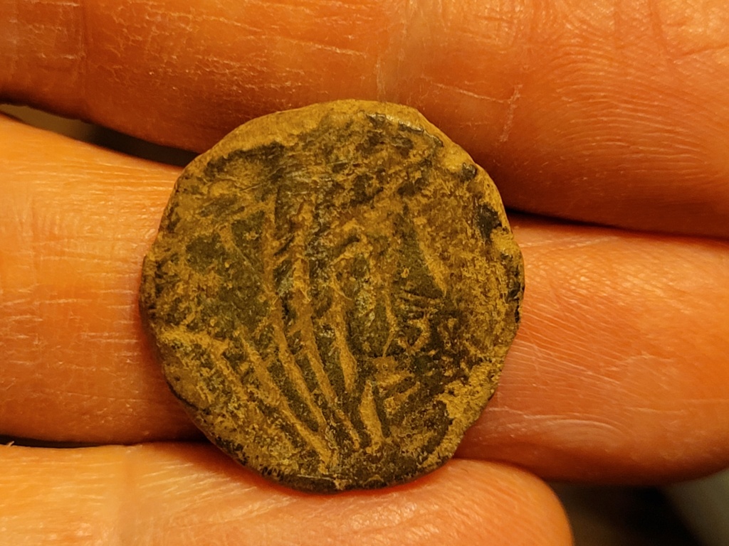 Bronze au taureau Neronken - Nédènes (oppidum de Montlaurès) 20211111
