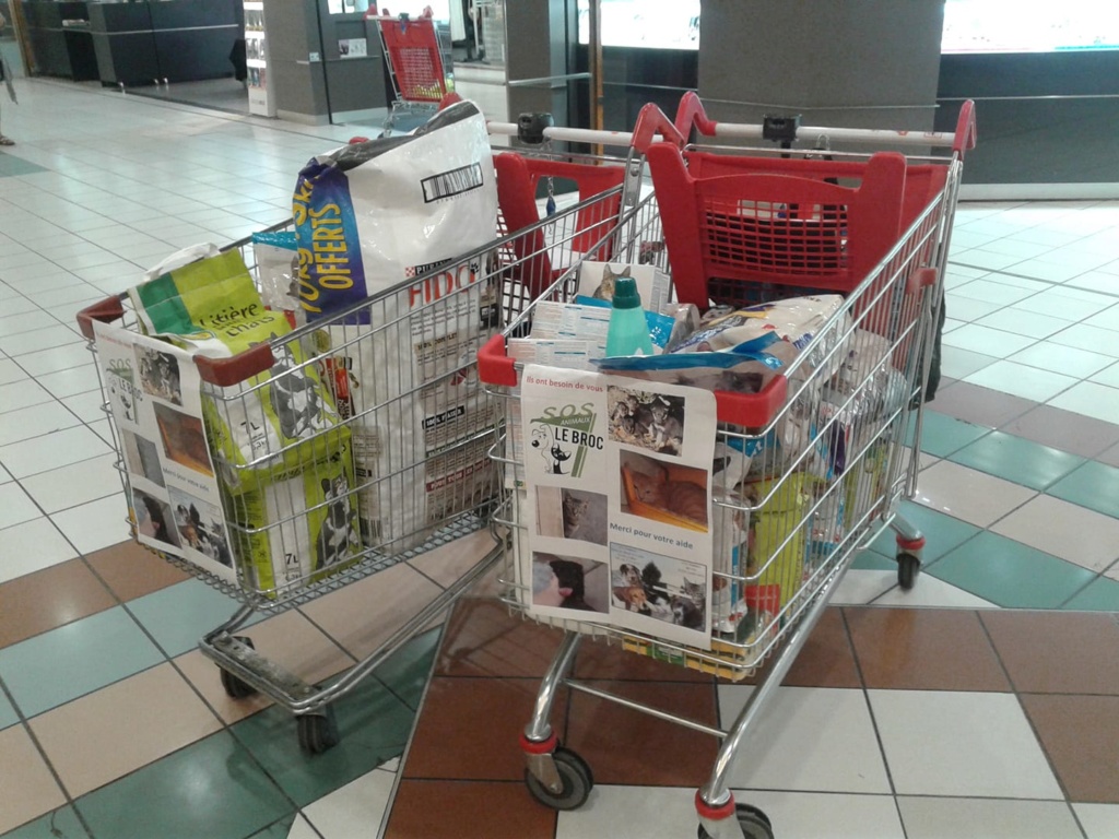 COLLECTE A AUCHAN SAMEDI 22 JUIN 2019 64721510