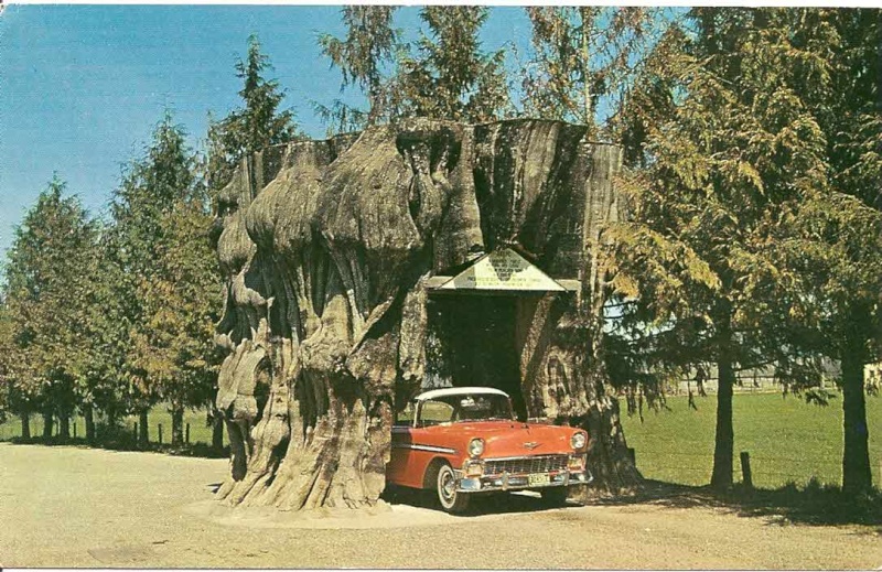 Photos et cartes postales d'époque, Chevrolet 1956 1956ch12