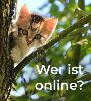 Wer ist online?