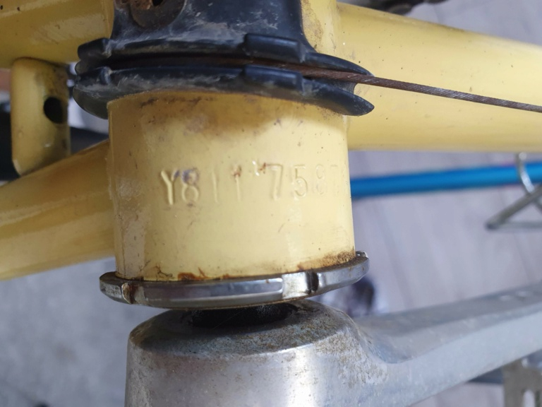 Peugeot 501 Reynolds Full Shimano 105 1988 ? A identifier 20230919