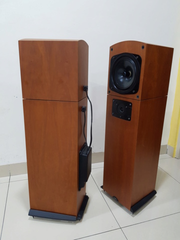 Naim Allae Floorstand Speaker (Sold) 20201211