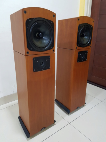 Naim Allae Floorstand Speaker (Sold) 20201212