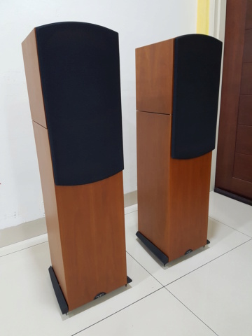 Naim Allae Floorstand Speaker (Sold) 20201215