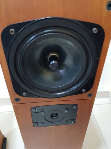 Naim Allae Floorstand Speaker (Sold) 20201216