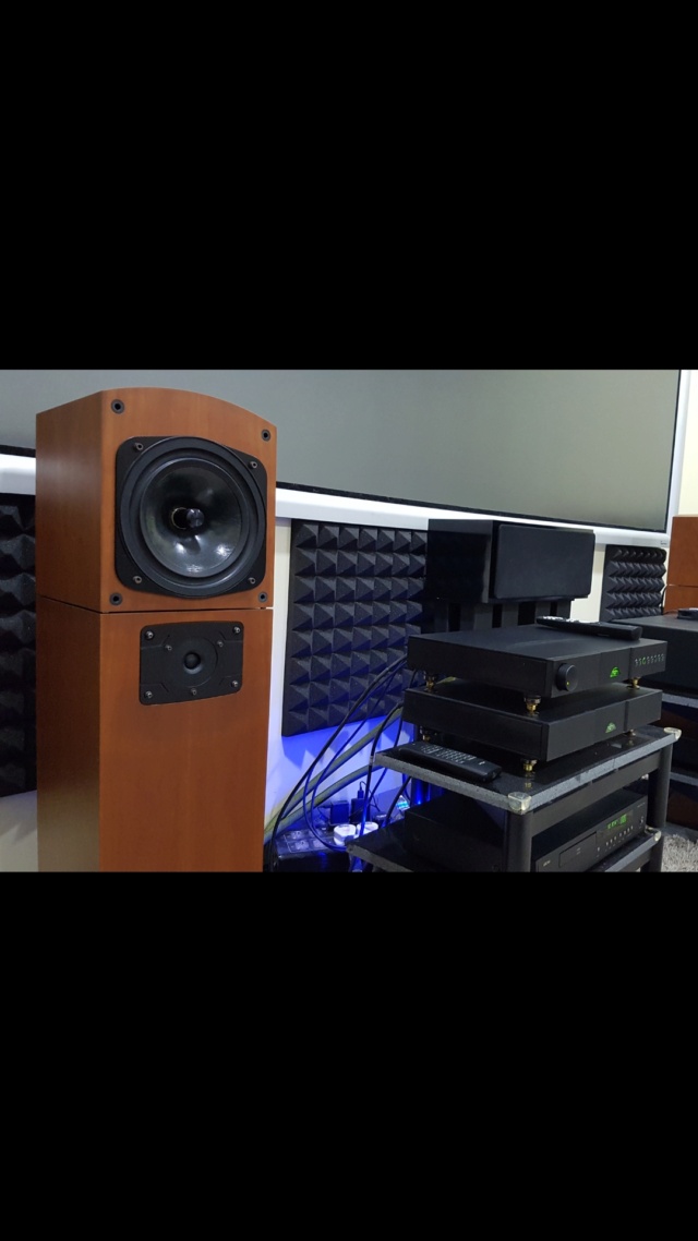 Naim Pre Power Allae Floorstand Speaker (Sold) Screen18
