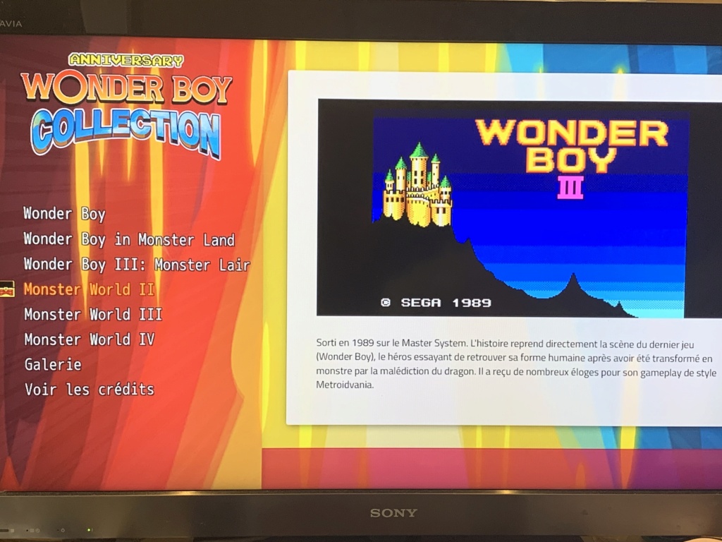 TEST Wonder Boy Anniversary Collection Img_2110