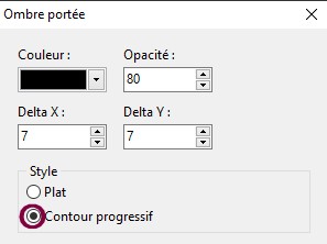 Tutoriel " En voiture " Contou15