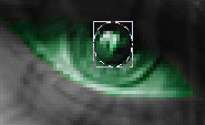 Tutoriel " Vampire" Ligne_80