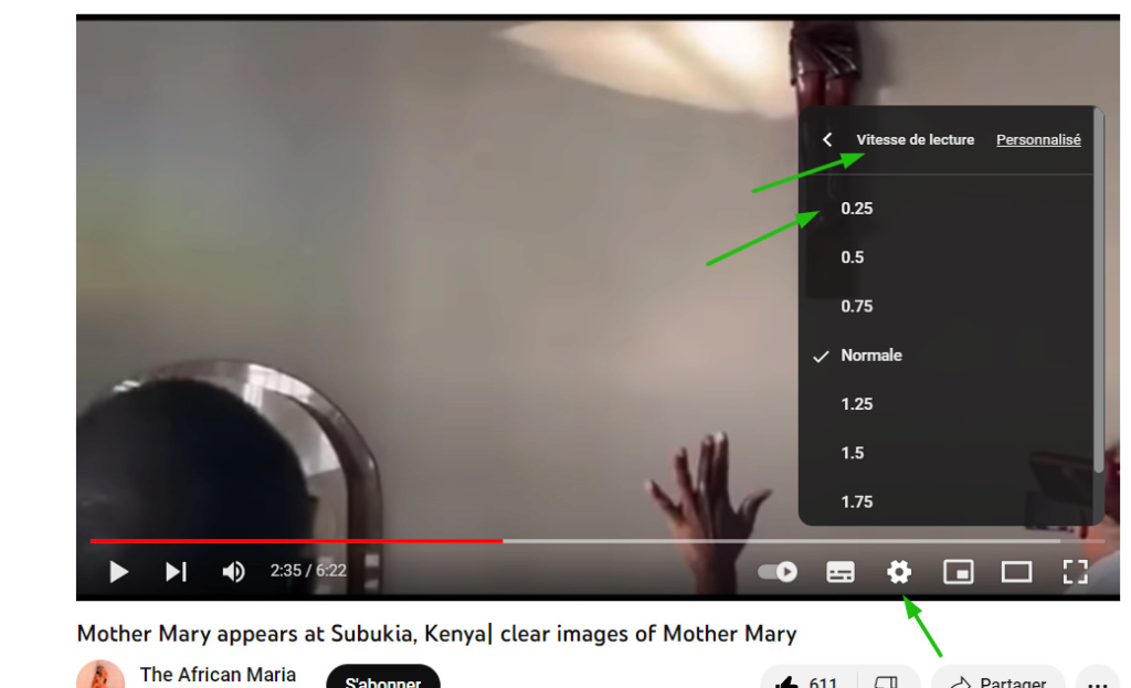 Apparition photographiée de la Vierge Marie au Nigéria Juin 2022 et au Kenya Scree461