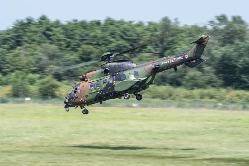 AEROSPATIALE AS 332 M1 SUPER PUMA (COUGAR ALAT) ... Réf 80365 39346910