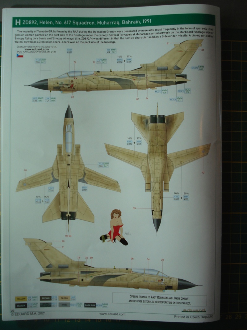 [EDUARD] PANAVIA TORNADO GR Mk1 DESERT BABES 1/72ème Réf  2137 Edition limité Notice Dsc09275