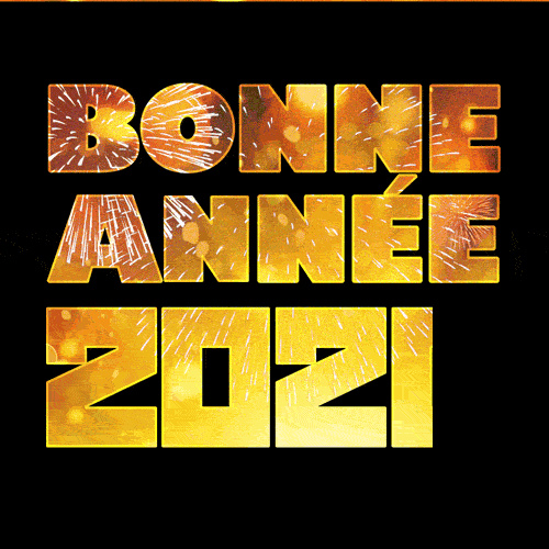 BONNE ANNEE 2021 Voeux-10