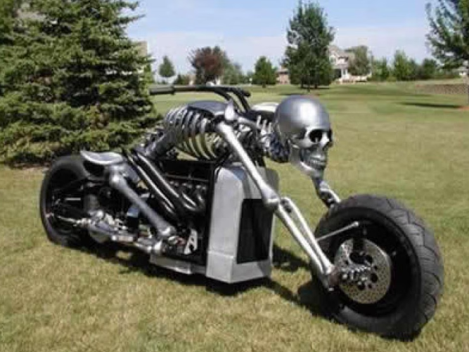 Harley-Davidson, la leyenda Scree287