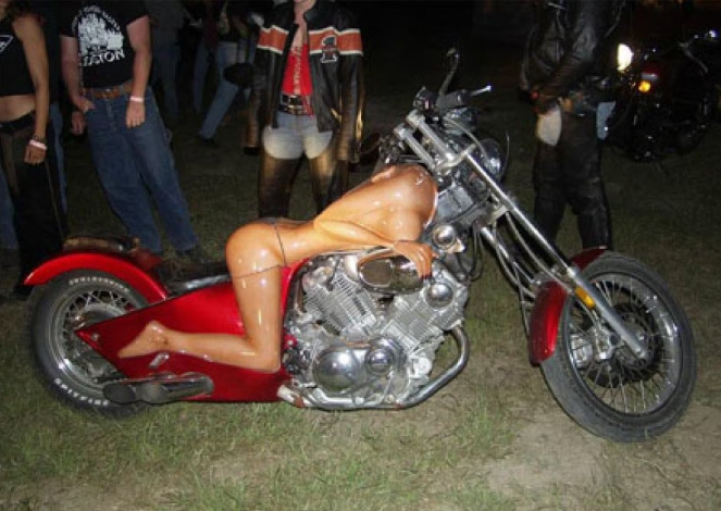 Harley-Davidson, la leyenda Scree290