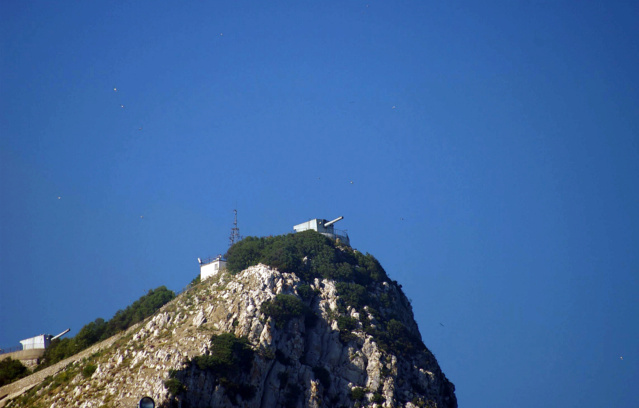 L’Olterra, le navire secret de la Decima MAS à Gibraltar  O_hara11