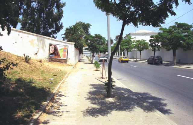 Le 19 - 23 juillet 1961 : La Bataille de Bizerte . Porte_11