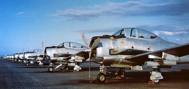 Le T-6 en Algérie . T-28_f11
