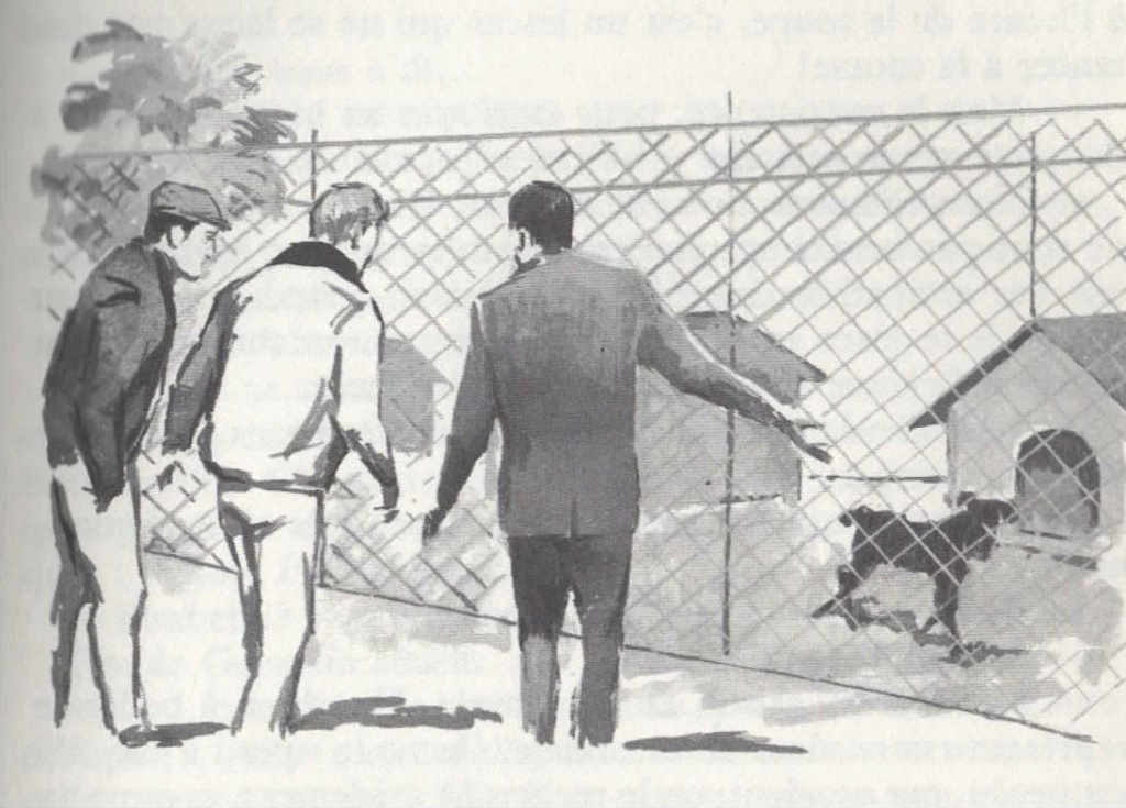 Jacques Rogy lache les chiens (1962) Rogy_212