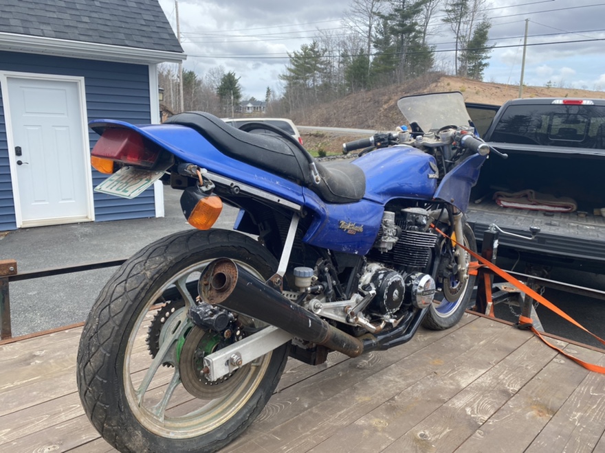 1982 Honda CB650SC, "divorce abused" Fr_37512