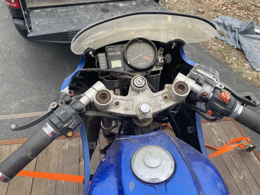 1982 Honda CB650SC, "divorce abused" Fr_37514