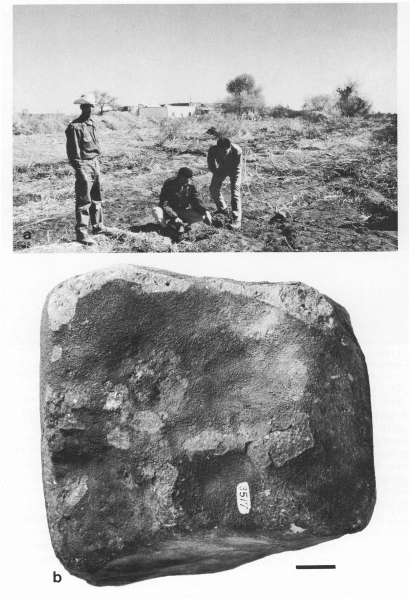 Photos de la chute de la météorite d'Allende 2410