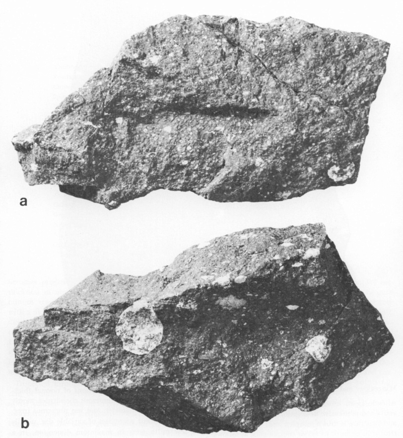 Photos de la chute de la météorite d'Allende 5910