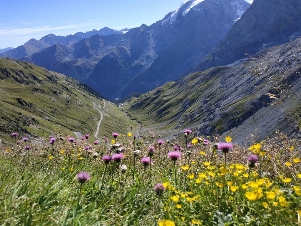 SEJOUR 5 JOURS ITALIE SUISSE STELVIO Img_2435