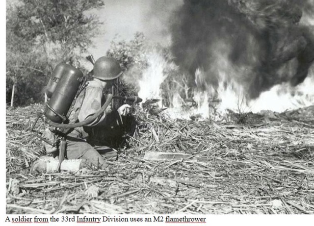 Lance-flammes A810