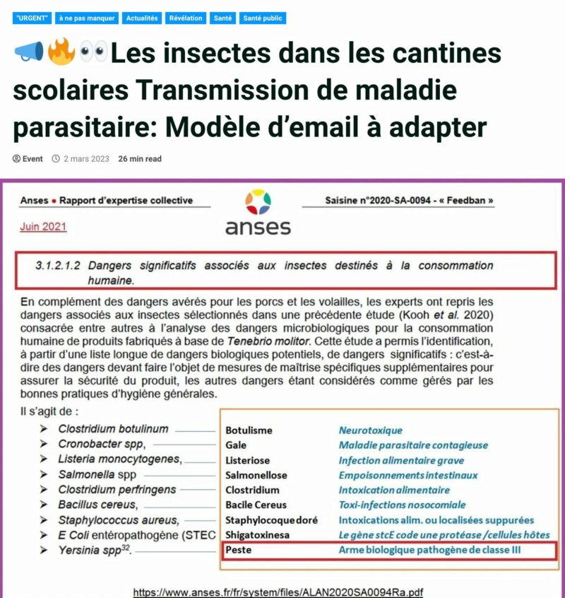 Dossier-Choc : Grillons, Chitine et Graphène. Pourquoi veulent-ils nous nourrir d'insectes ? - Page 3 Img-2019