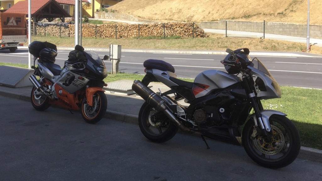 New Cat in Slovenia 68c12910