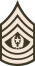 Command Sergeant Major E-9