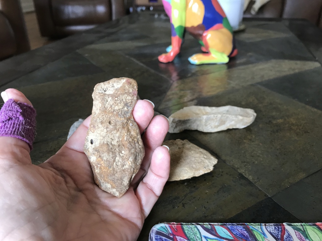 Is this a figure stone? Appears to be a cardinal bird stone. Found two and an arrowhead in same area of my farm. 5da05910