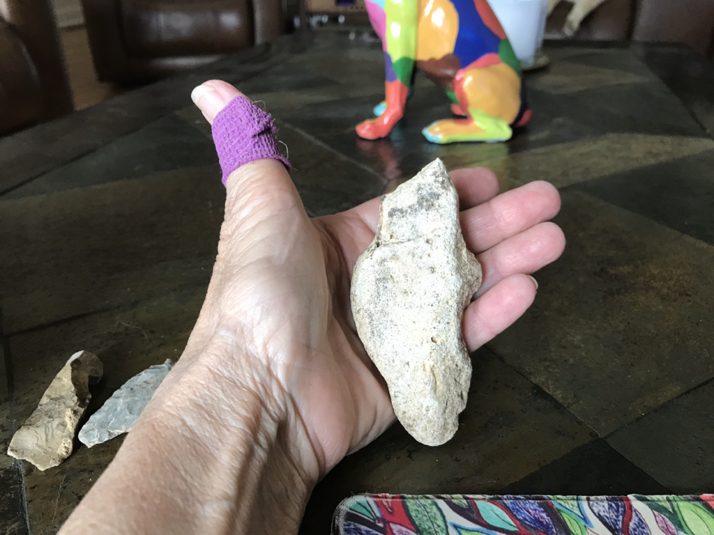 Is this a figure stone? Appears to be a cardinal bird stone. Found two and an arrowhead in same area of my farm. C39efb10