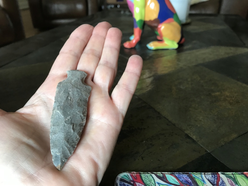 Is this a figure stone? Appears to be a cardinal bird stone. Found two and an arrowhead in same area of my farm. F4594f10